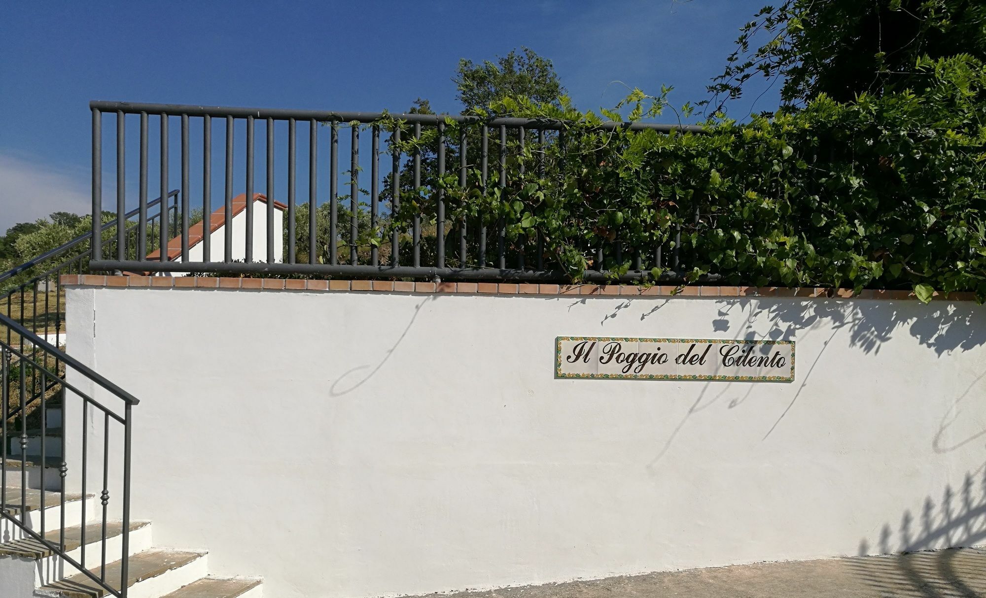Il Poggio Del Cilento Country House Agropoli Eksteriør billede